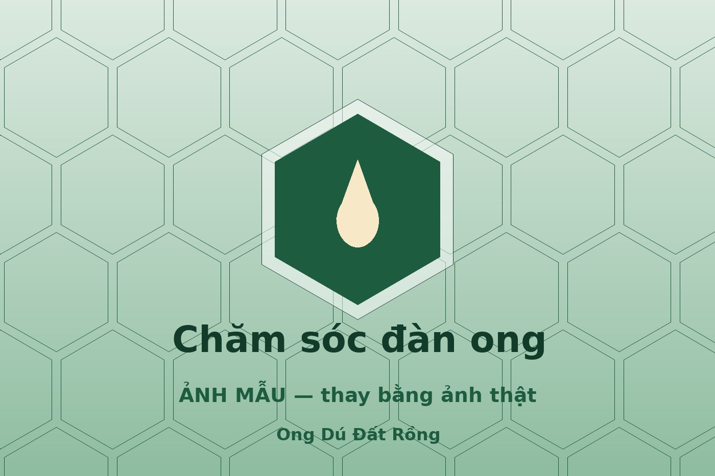 Bệnh và địch hại thường gặp ở ong dú: nhận biết sớm và cách xử lý
