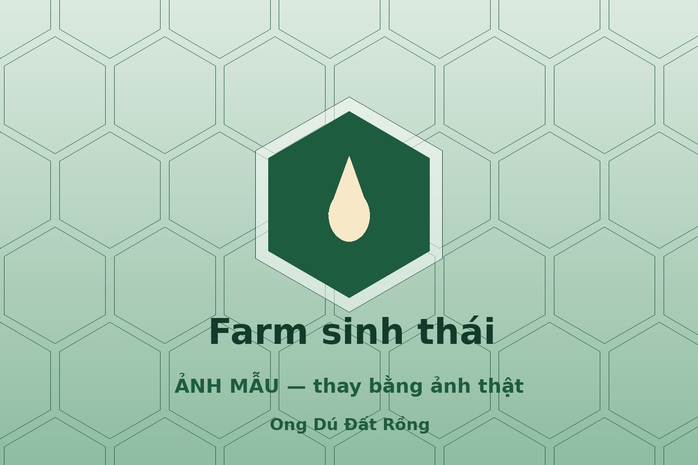 Ong dú ăn gì? Trồng hoa gì quanh vườn để đàn khỏe quanh năm