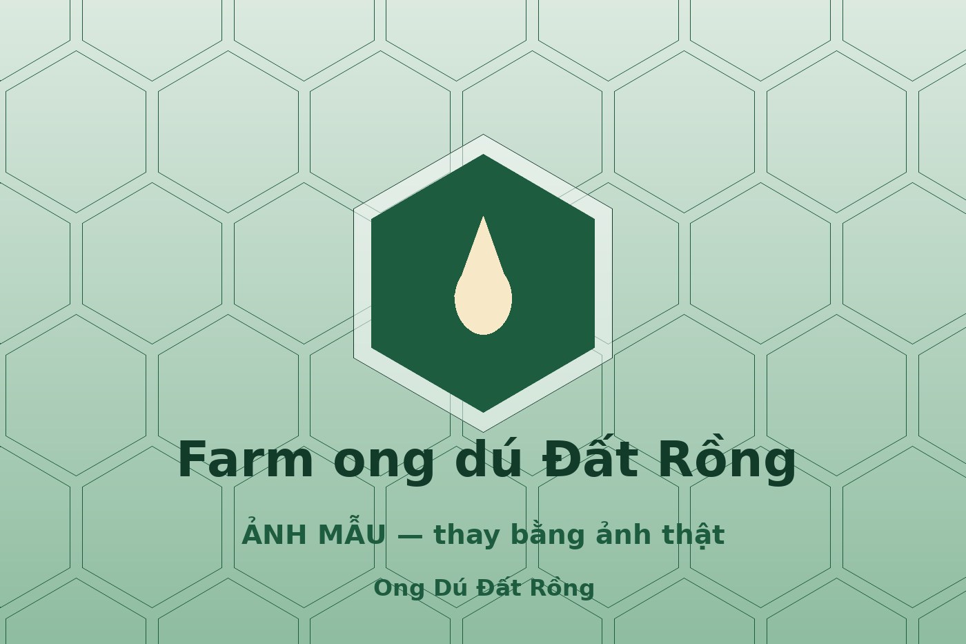 Nuôi ong dú có lãi không? Nhìn thẳng vào các con số trước khi đầu tư