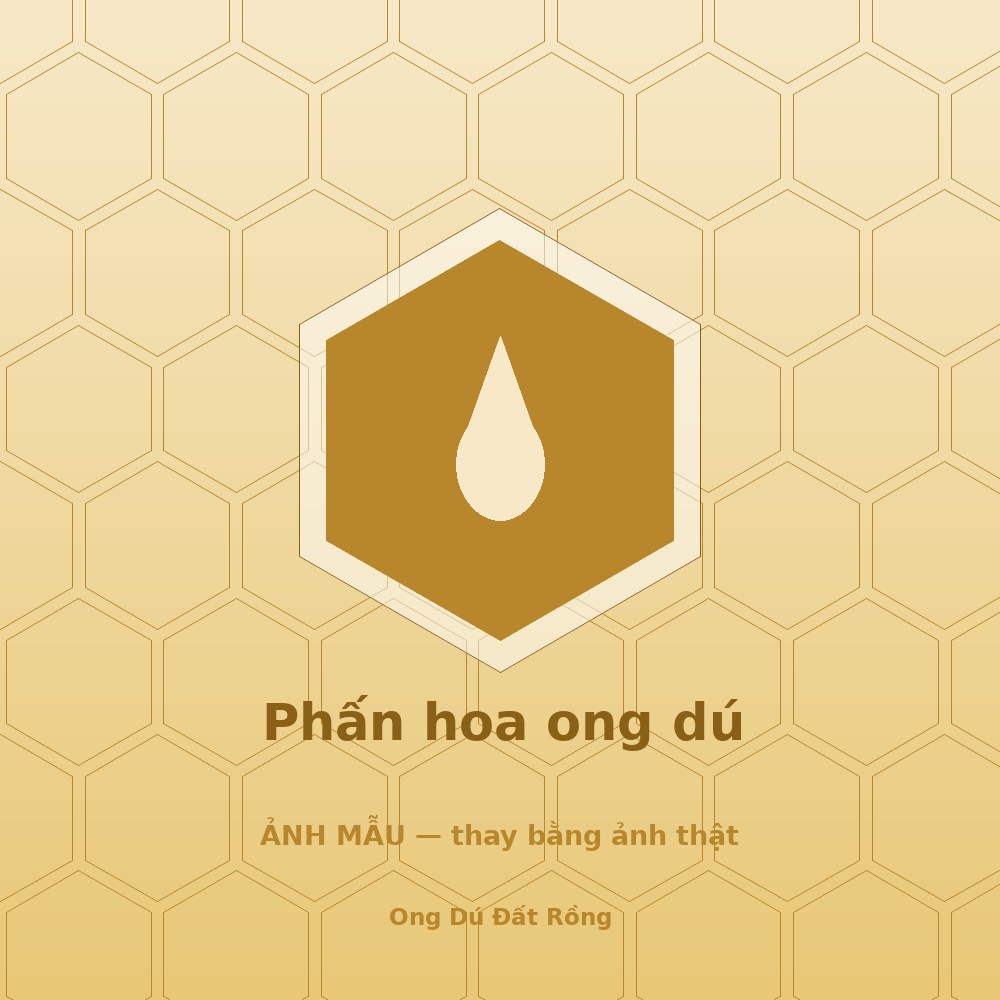 Ong dú là gì? 5 điều khiến loài ong không ngòi đốt trở nên đặc biệt