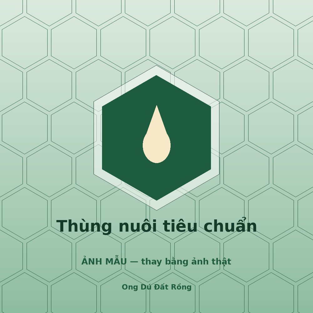 Thùng nuôi ong dú: chọn loại nào, đặt ở đâu và những sai lầm hay gặp