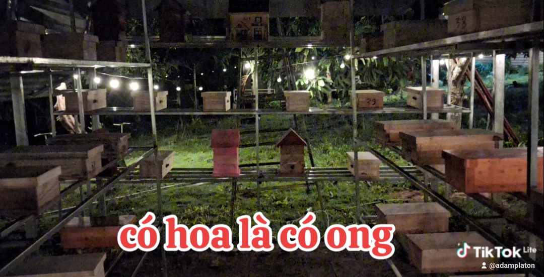 Datrong68